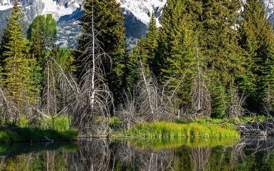 Soaring over majestic Grand Teton in Wyoming